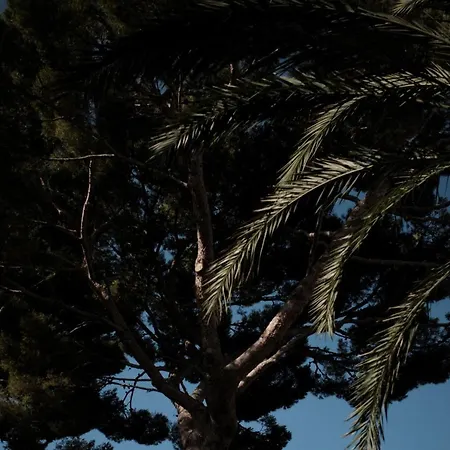 Prinsotel La Pineda 公寓式酒店 4*