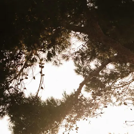 公寓式酒店 Prinsotel La Pineda 4*