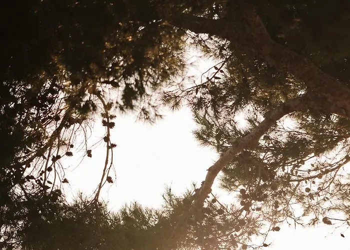 Hotel apartamentowy Prinsotel La Pineda 4*