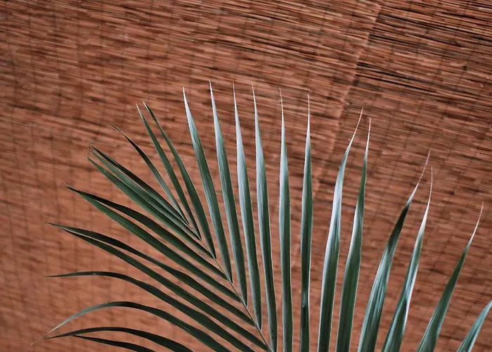 Prinsotel La Pineda Aparthotel 4*