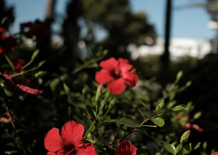 Prinsotel La Pineda Hotel apartamentowy