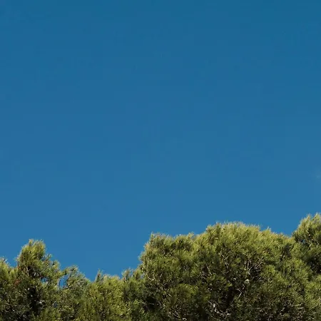 شقة فندقية برينزوتل لا بينيدا