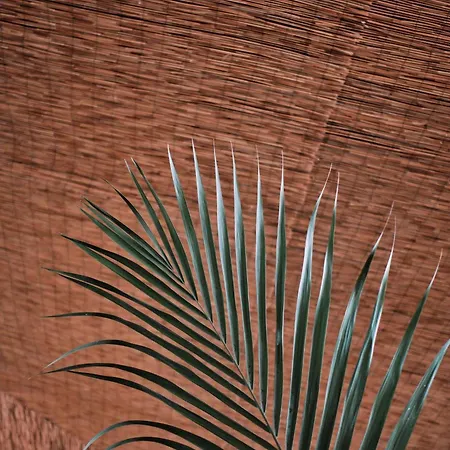 Prinsotel La Pineda Apart Otel 4*