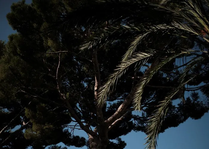 Prinsotel La Pineda Aparthotel 4*