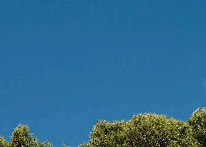 Aparthotel Prinsotel La Pineda